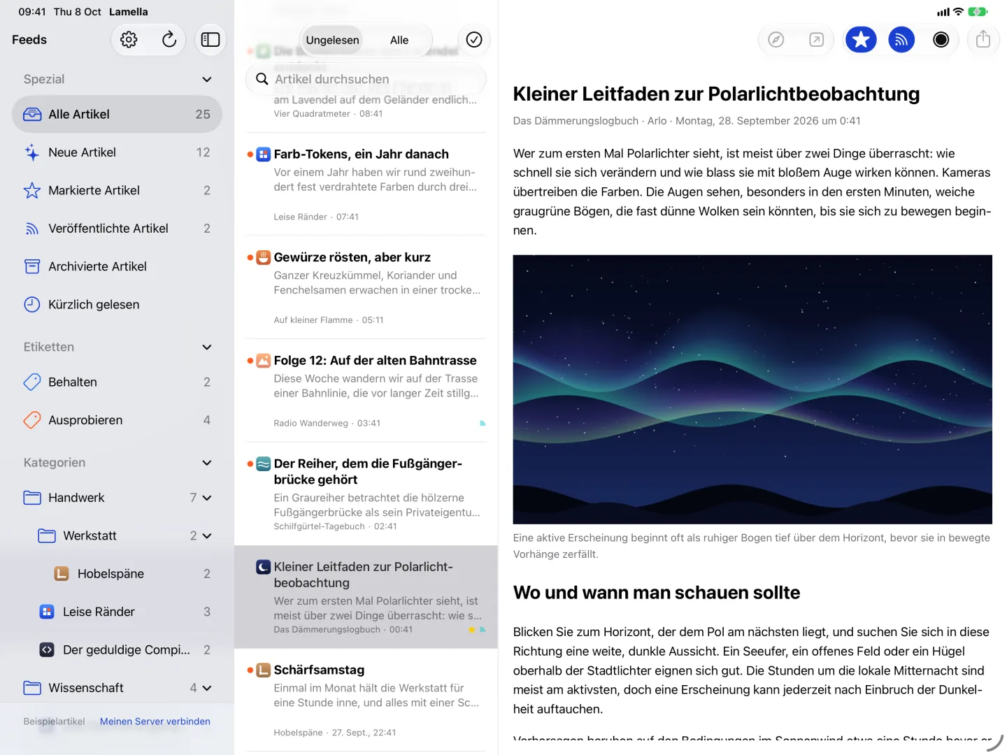 Ein Artikel im Reader