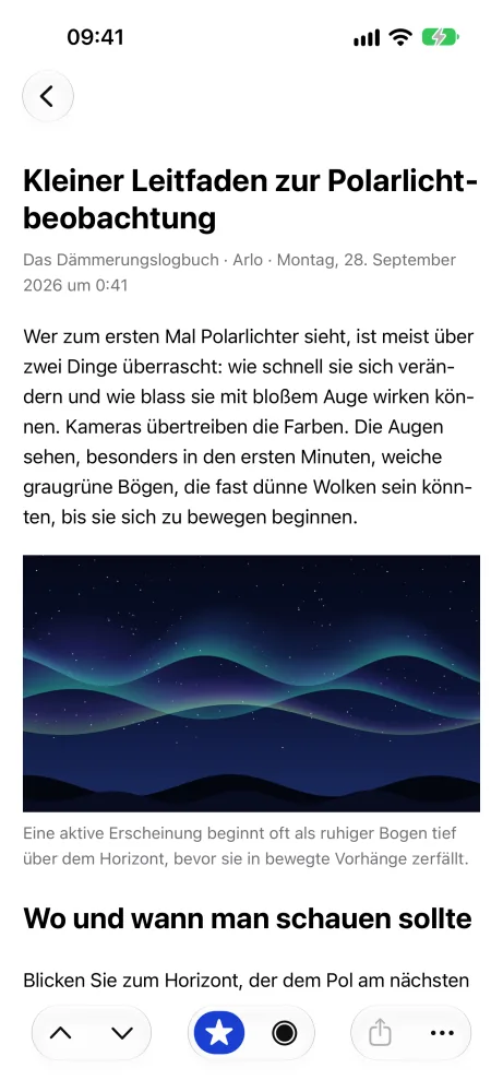 Ein Artikel im Reader