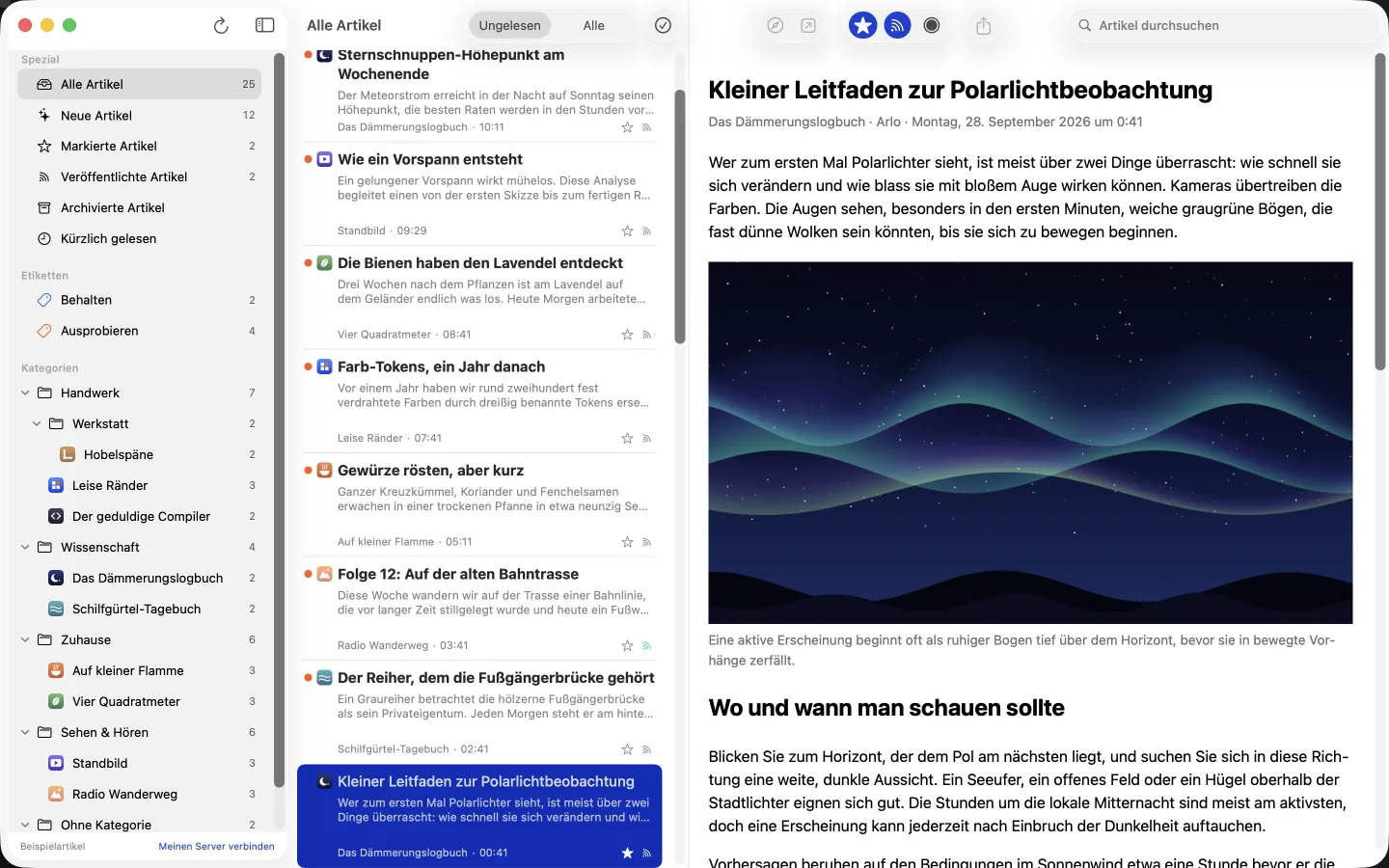 Ein Artikel im Reader