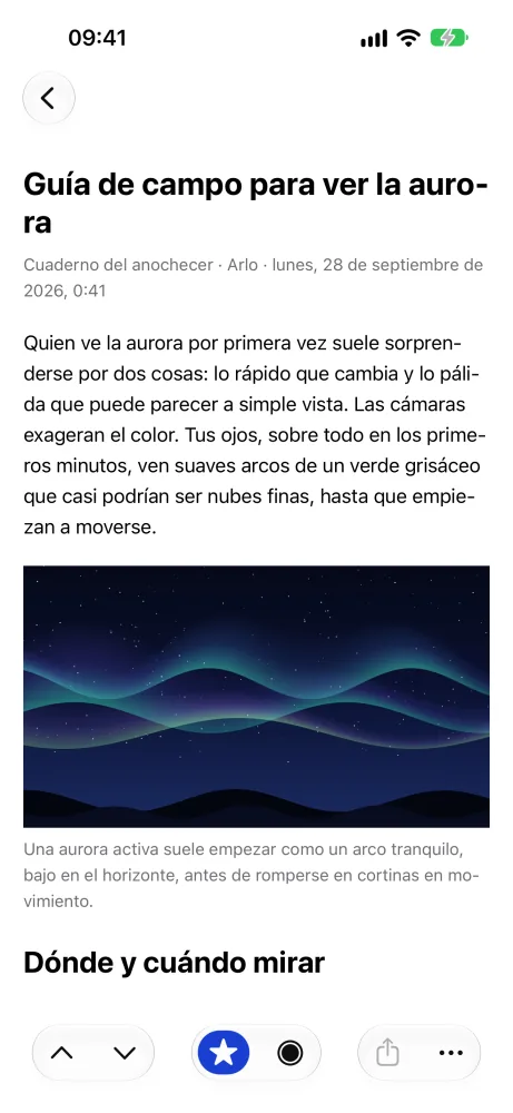 Un artículo en el lector
