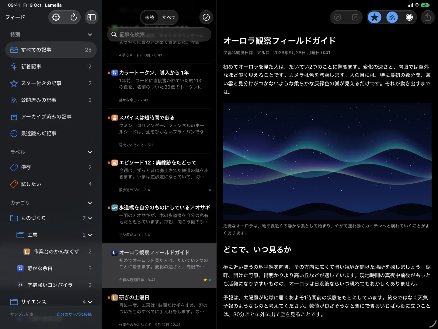 夜のリーダー