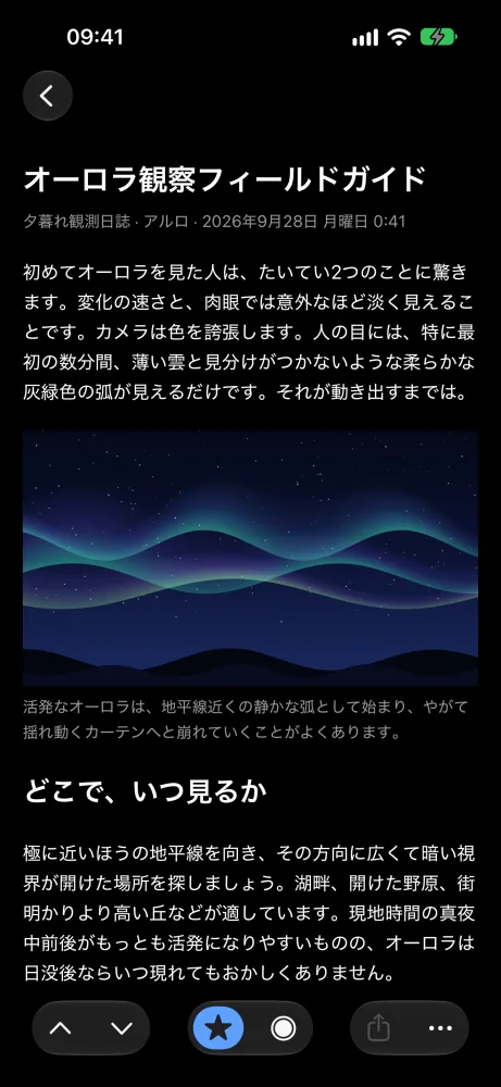 夜のリーダー