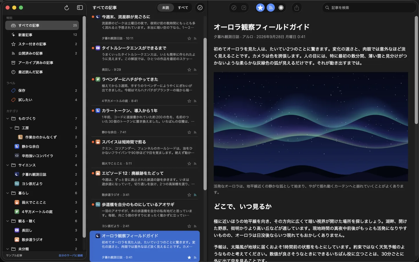 夜のリーダー