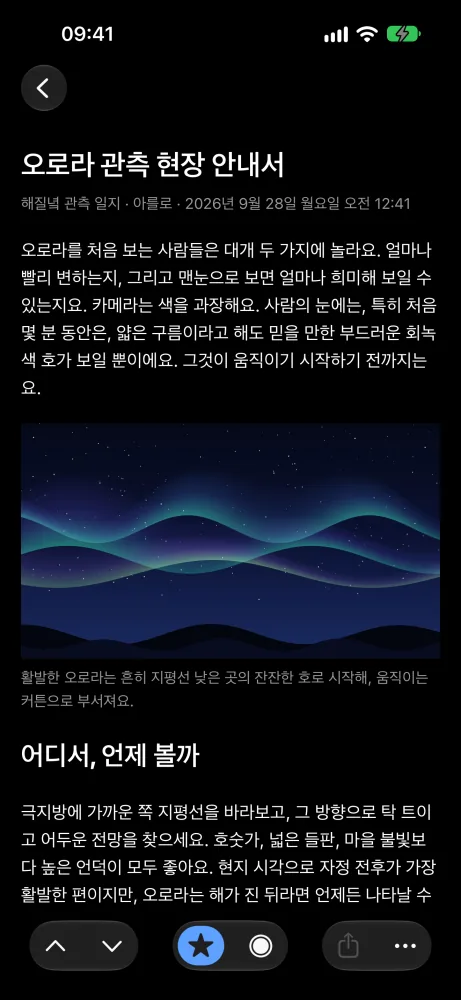 밤의 리더